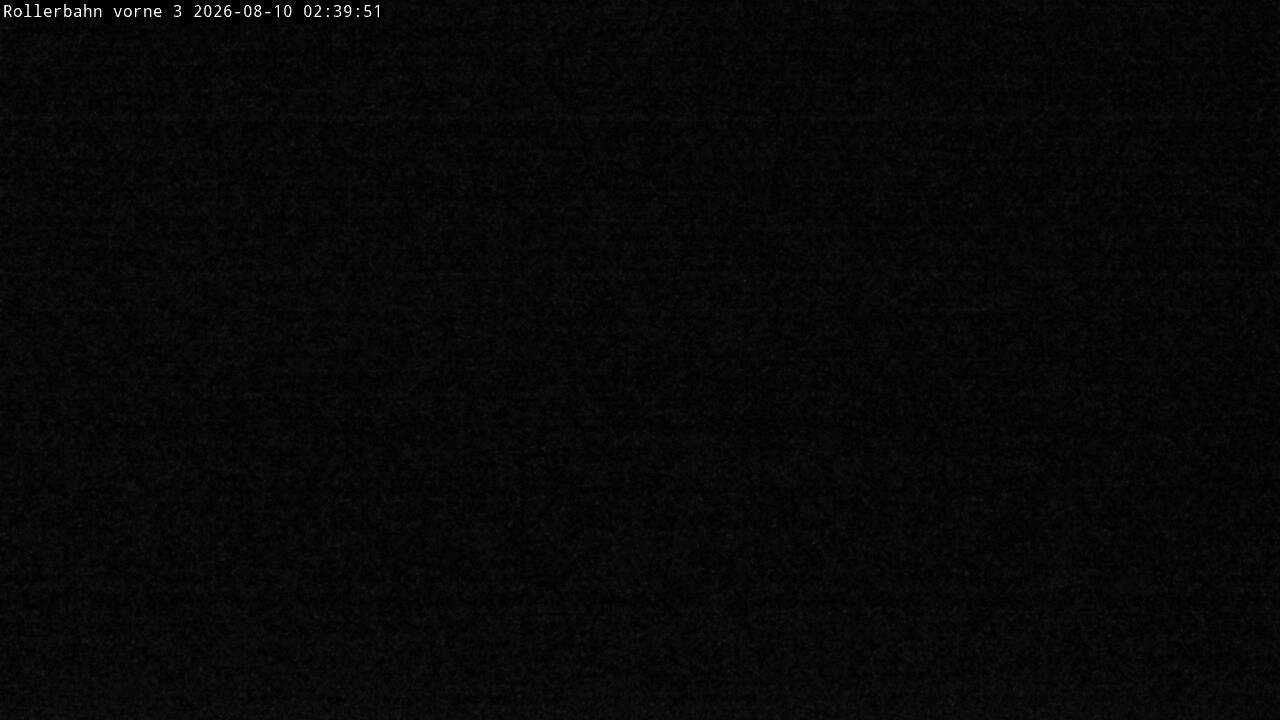 Archiv Foto Webcam Willingen - Blick Rollerbahn der Biathlon Arena