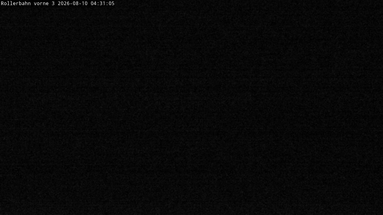 Archiv Foto Webcam Willingen - Blick Rollerbahn der Biathlon Arena