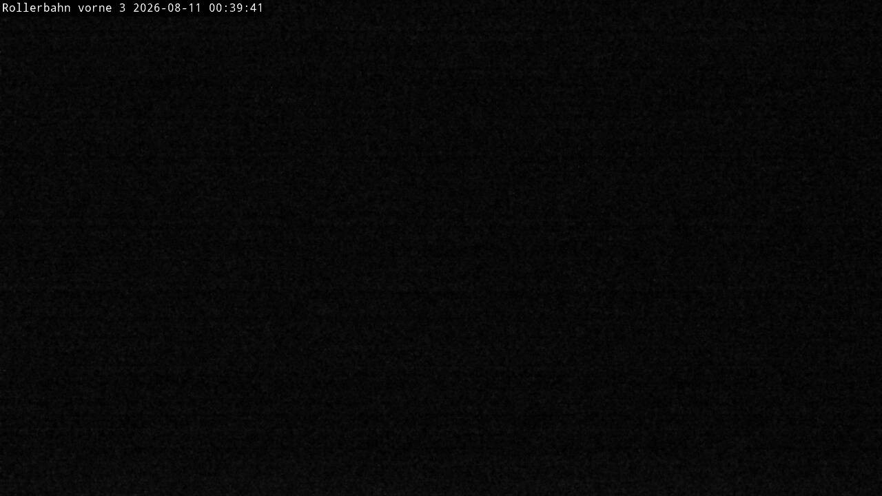 Archiv Foto Webcam Willingen - Blick Rollerbahn der Biathlon Arena