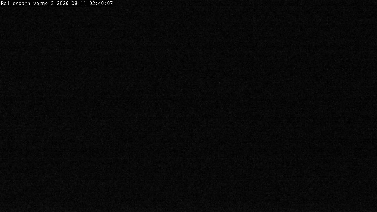 Archiv Foto Webcam Willingen - Blick Rollerbahn der Biathlon Arena