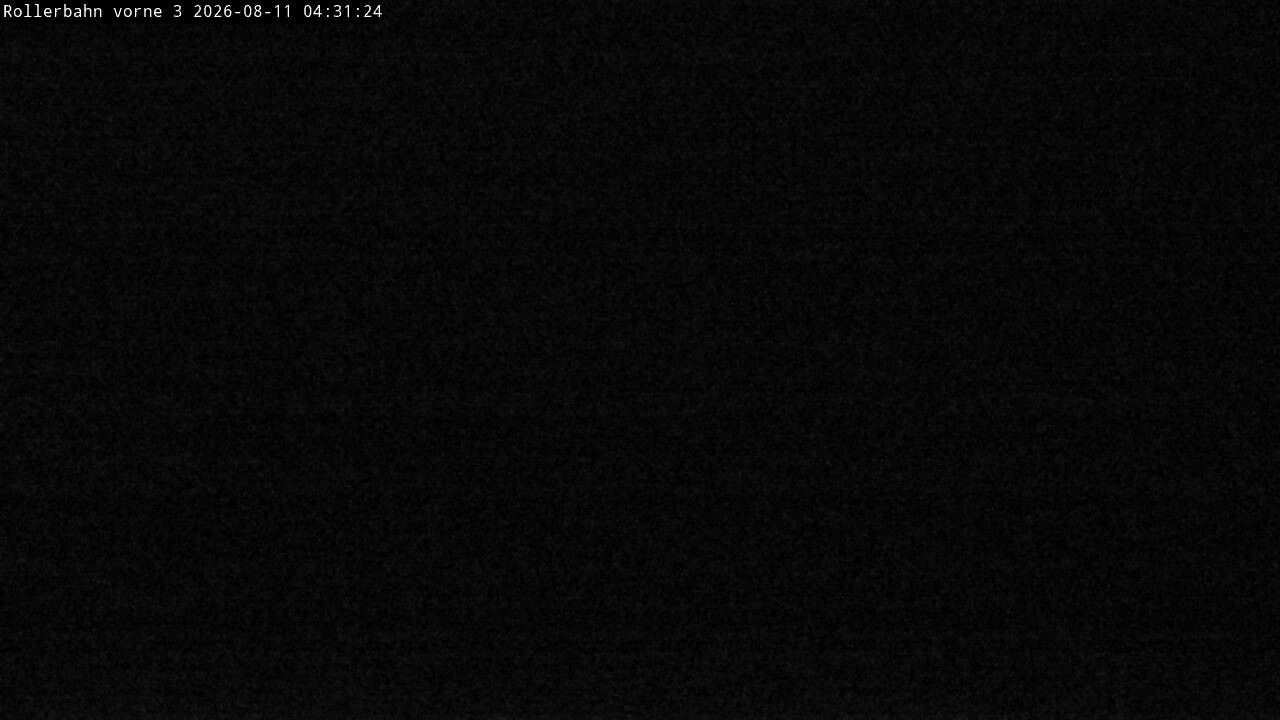 Archiv Foto Webcam Willingen - Blick Rollerbahn der Biathlon Arena