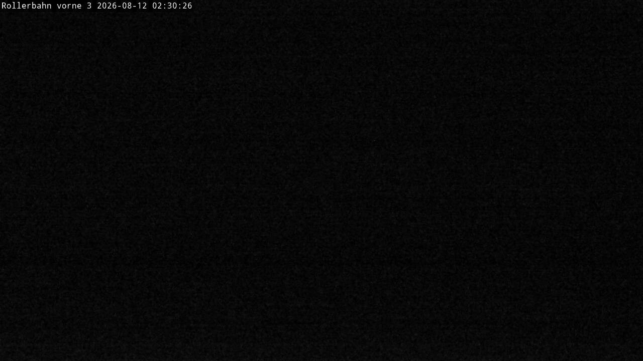 Archived image Webcam Willingen - View Roller Ski in Biathlon Arena