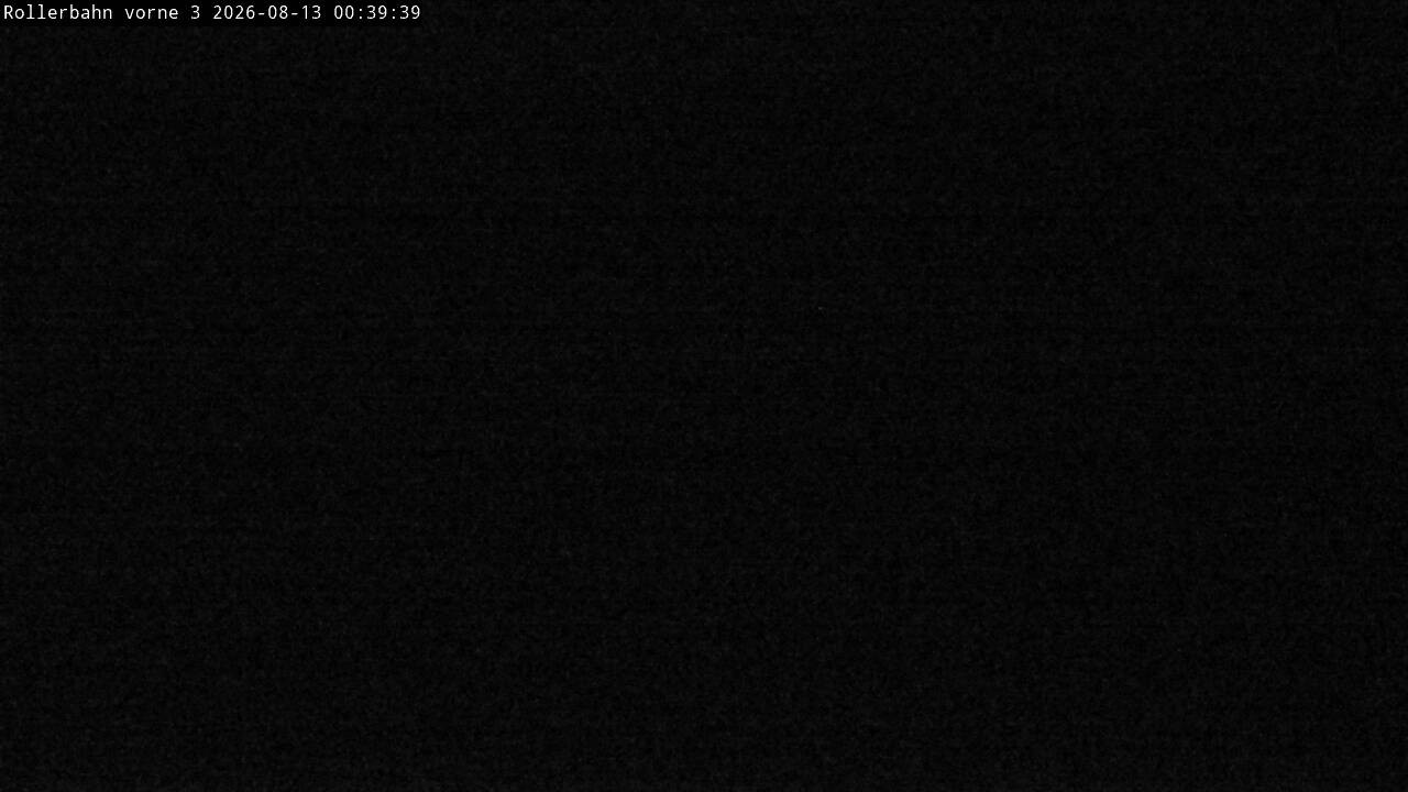 Archiv Foto Webcam Willingen - Blick Rollerbahn der Biathlon Arena