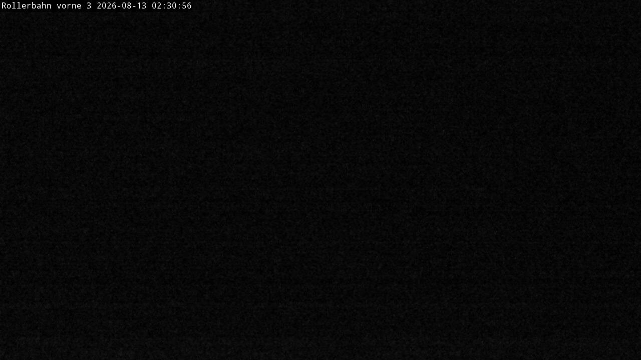 Archiv Foto Webcam Willingen - Blick Rollerbahn der Biathlon Arena