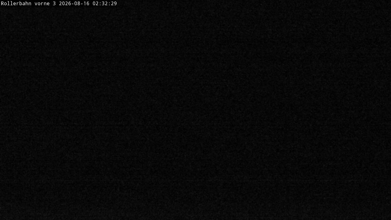 Archiv Foto Webcam Willingen - Blick Rollerbahn der Biathlon Arena