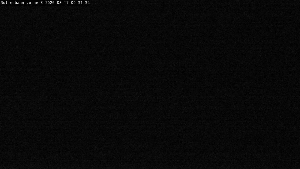 Archived image Webcam Willingen - View Roller Ski in Biathlon Arena