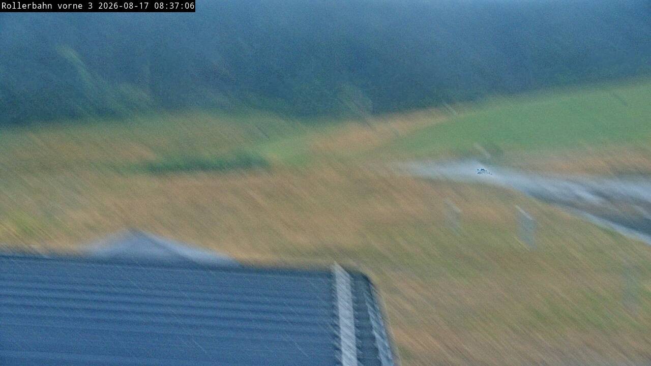 Archived image Webcam Willingen - View Roller Ski in Biathlon Arena