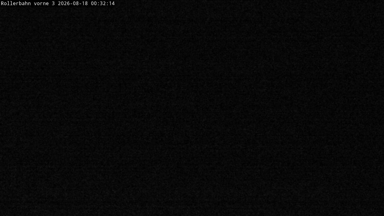 Archiv Foto Webcam Willingen - Blick Rollerbahn der Biathlon Arena