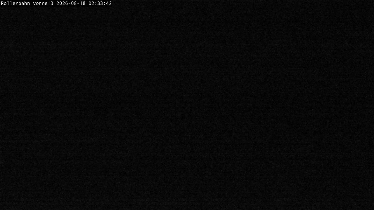 Archiv Foto Webcam Willingen - Blick Rollerbahn der Biathlon Arena