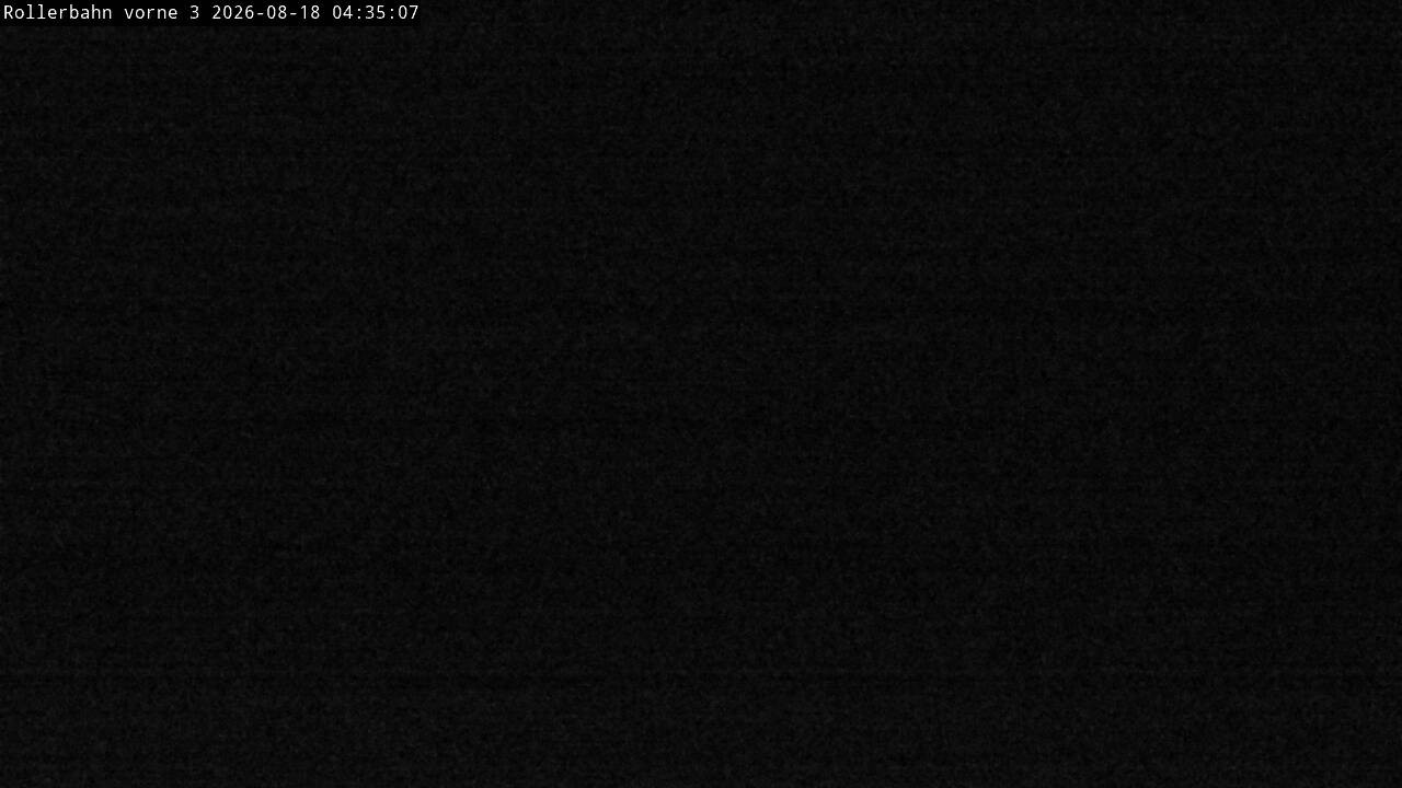 Archiv Foto Webcam Willingen - Blick Rollerbahn der Biathlon Arena