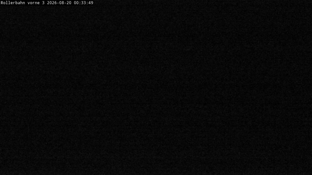Archiv Foto Webcam Willingen - Blick Rollerbahn der Biathlon Arena