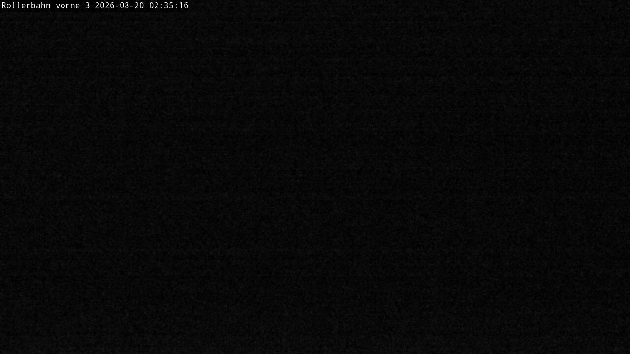 Archiv Foto Webcam Willingen - Blick Rollerbahn der Biathlon Arena