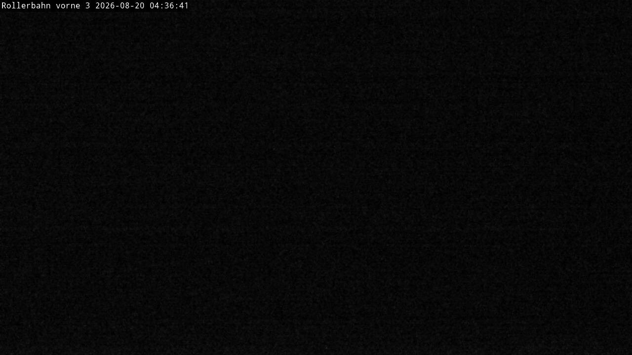 Archiv Foto Webcam Willingen - Blick Rollerbahn der Biathlon Arena