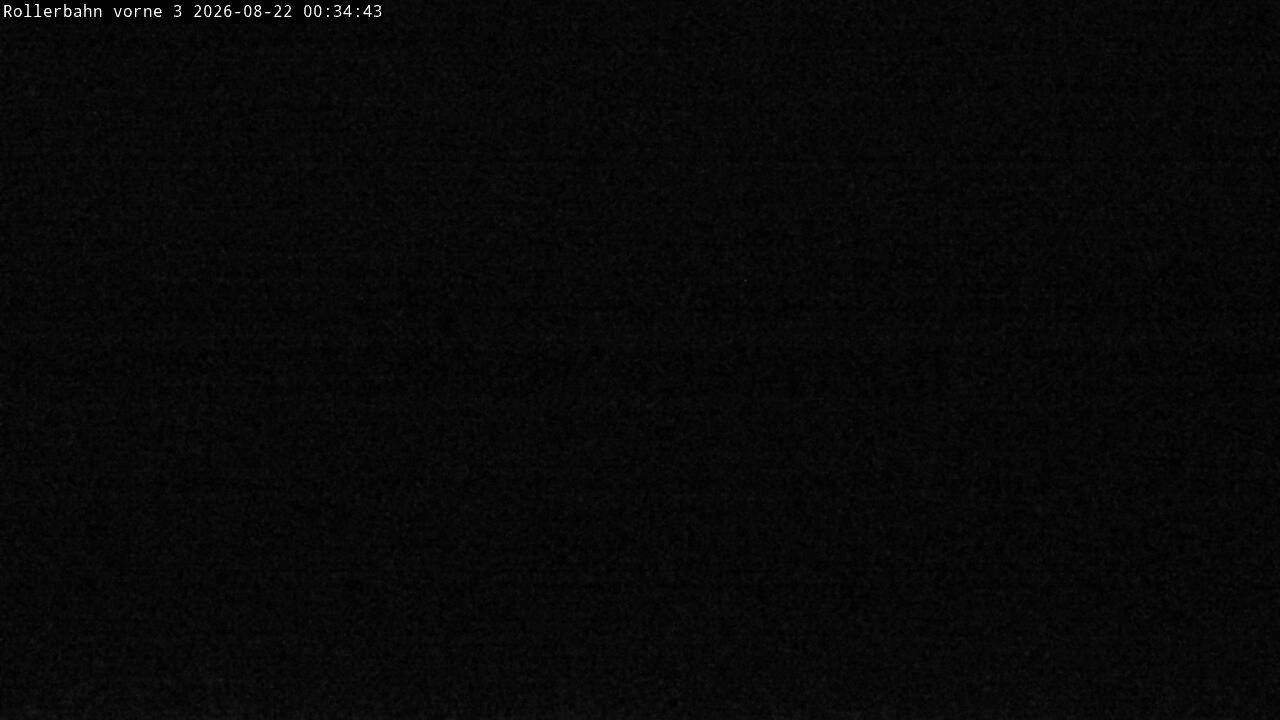 Archived image Webcam Willingen - View Roller Ski in Biathlon Arena