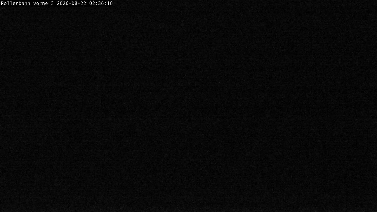 Archived image Webcam Willingen - View Roller Ski in Biathlon Arena