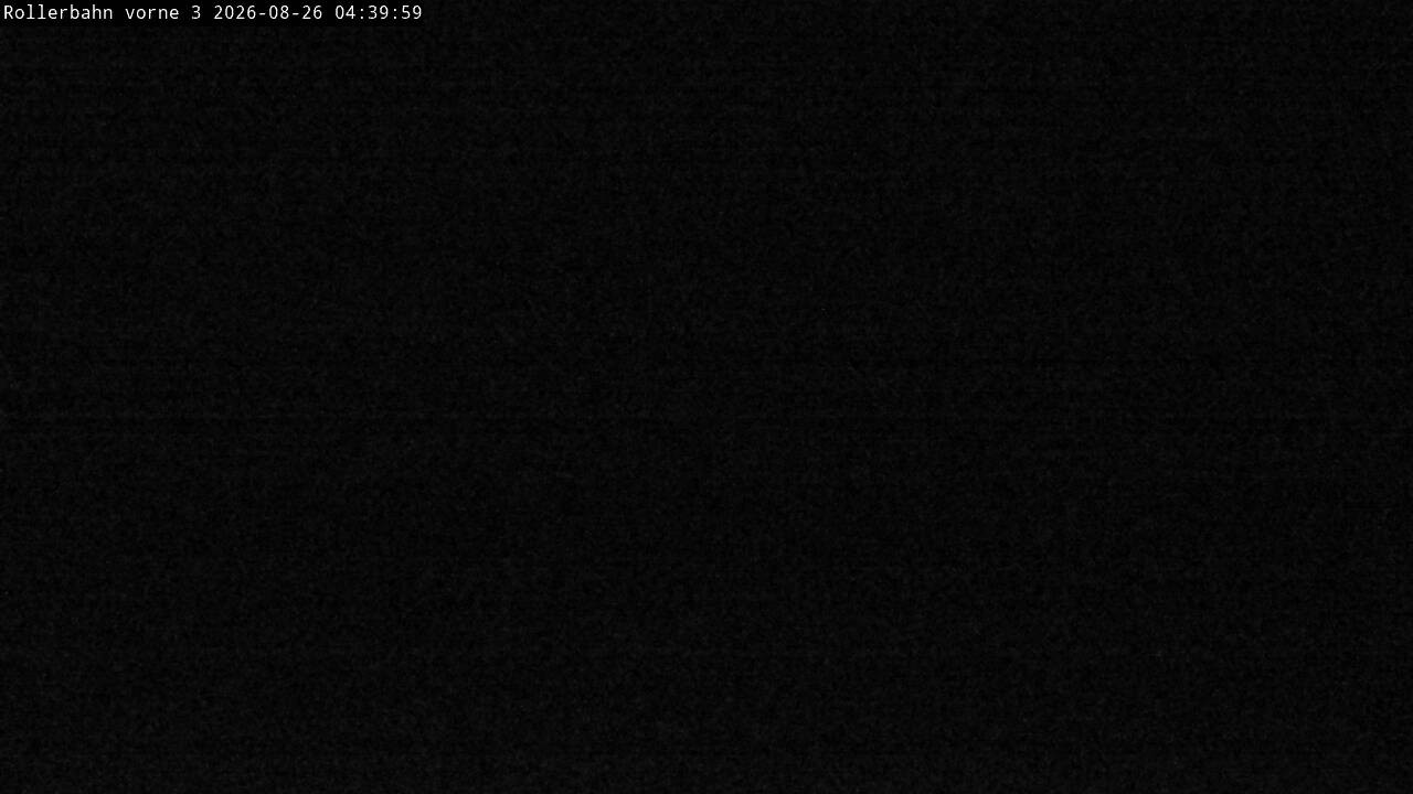 Archived image Webcam Willingen - View Roller Ski in Biathlon Arena