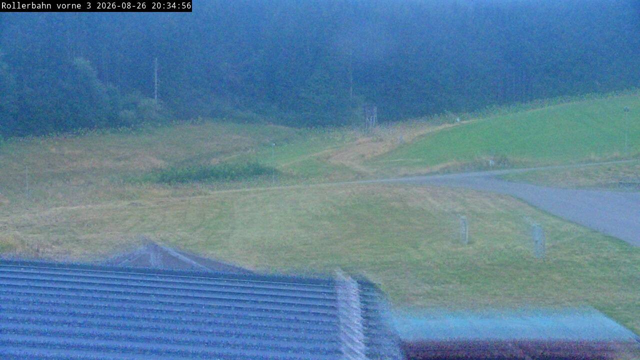 Archived image Webcam Willingen - View Roller Ski in Biathlon Arena