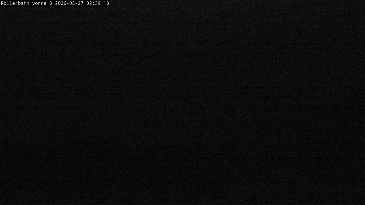 Archiv Foto Webcam Willingen - Blick Rollerbahn der Biathlon Arena