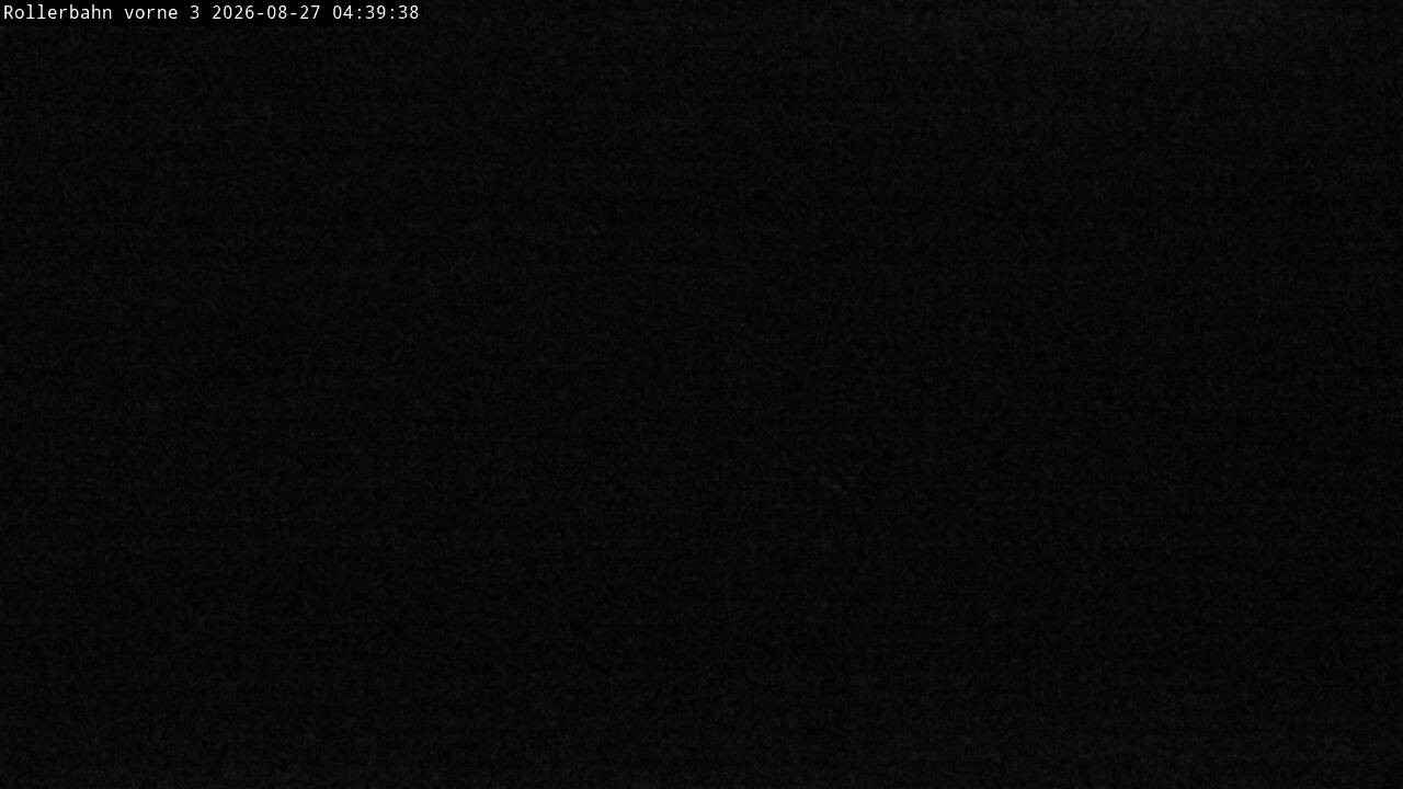 Archiv Foto Webcam Willingen - Blick Rollerbahn der Biathlon Arena
