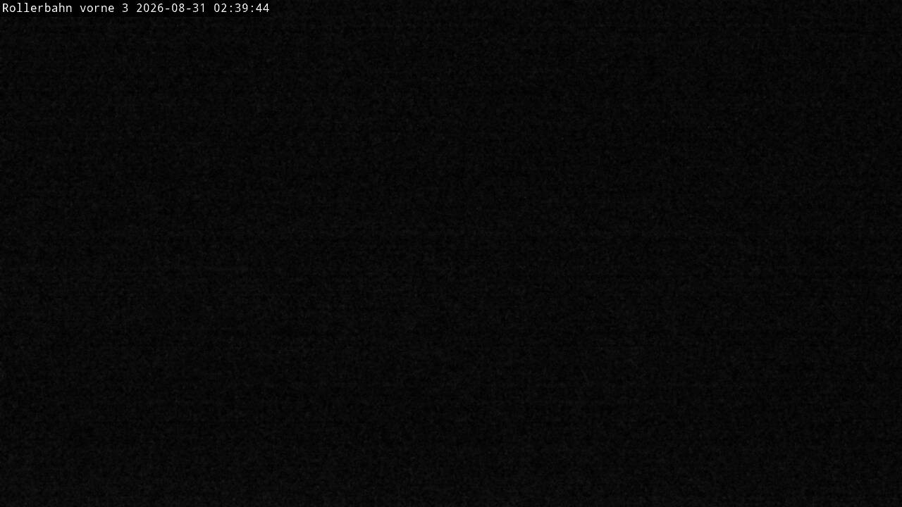 Archiv Foto Webcam Willingen - Blick Rollerbahn der Biathlon Arena