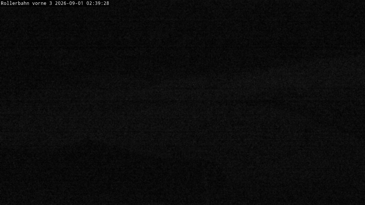 Archiv Foto Webcam Willingen - Blick Rollerbahn der Biathlon Arena