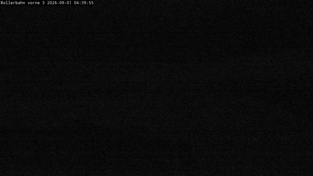 Archiv Foto Webcam Willingen - Blick Rollerbahn der Biathlon Arena