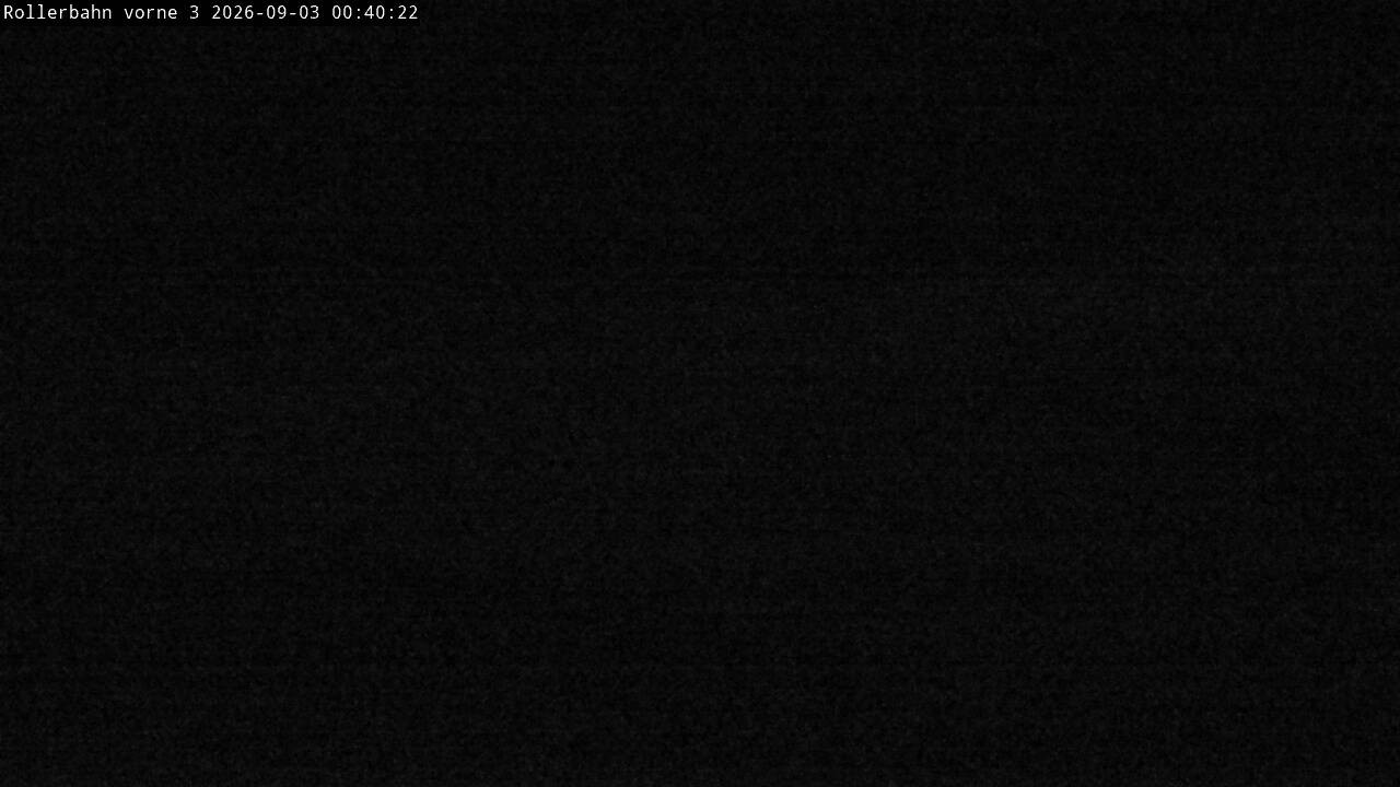 Archiv Foto Webcam Willingen - Blick Rollerbahn der Biathlon Arena