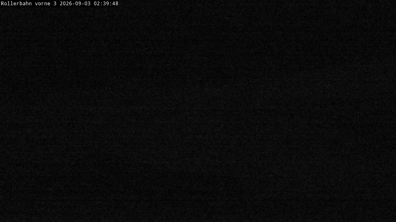 Archiv Foto Webcam Willingen - Blick Rollerbahn der Biathlon Arena