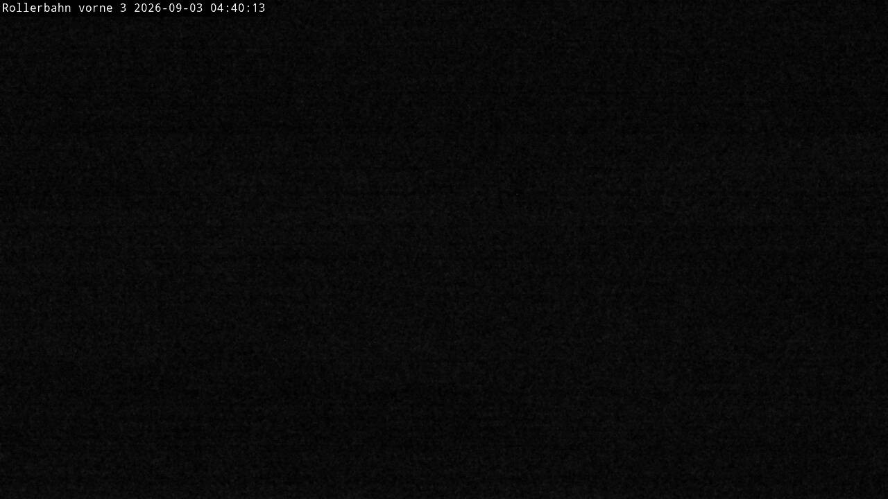 Archiv Foto Webcam Willingen - Blick Rollerbahn der Biathlon Arena