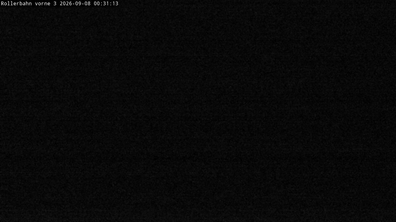 Archiv Foto Webcam Willingen - Blick Rollerbahn der Biathlon Arena