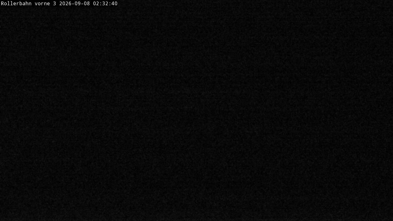 Archiv Foto Webcam Willingen - Blick Rollerbahn der Biathlon Arena