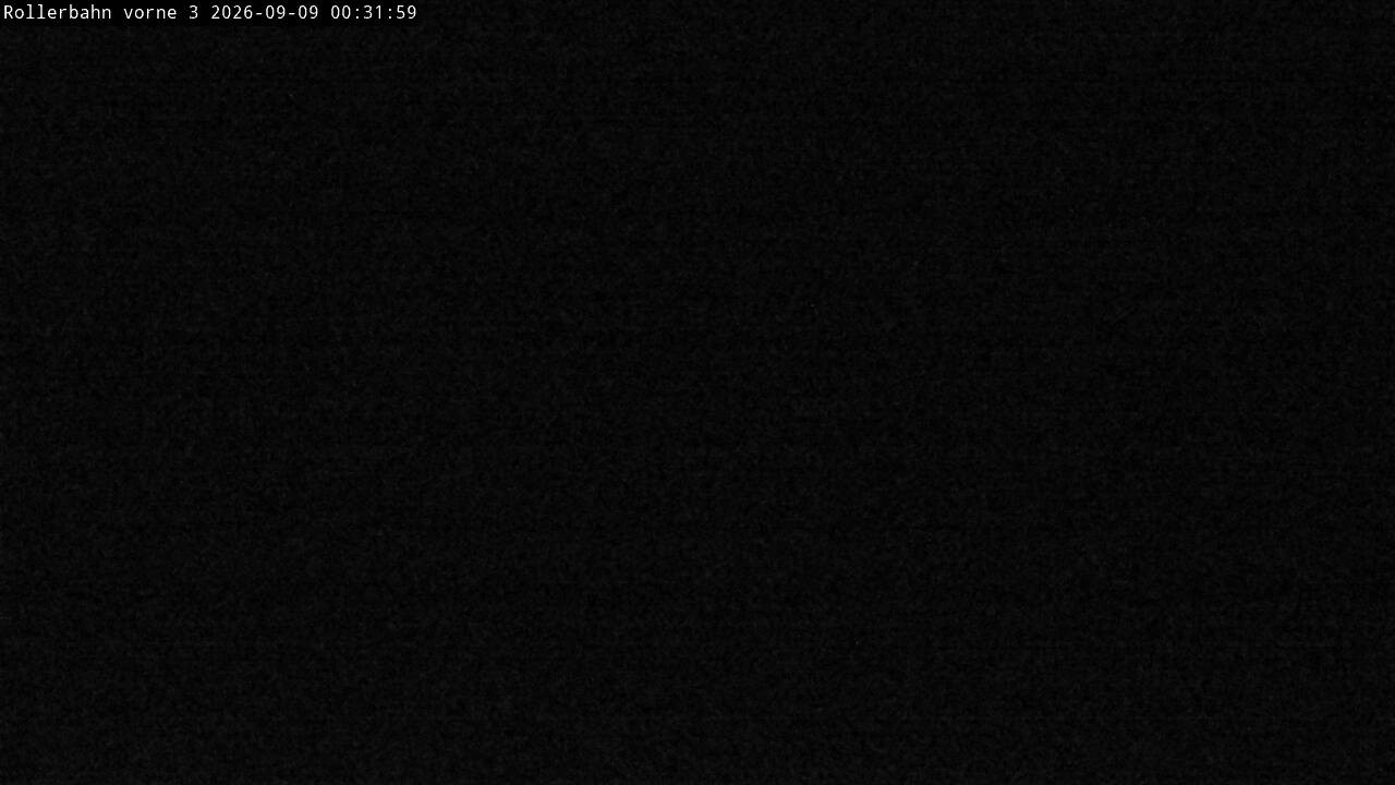 Archiv Foto Webcam Willingen - Blick Rollerbahn der Biathlon Arena