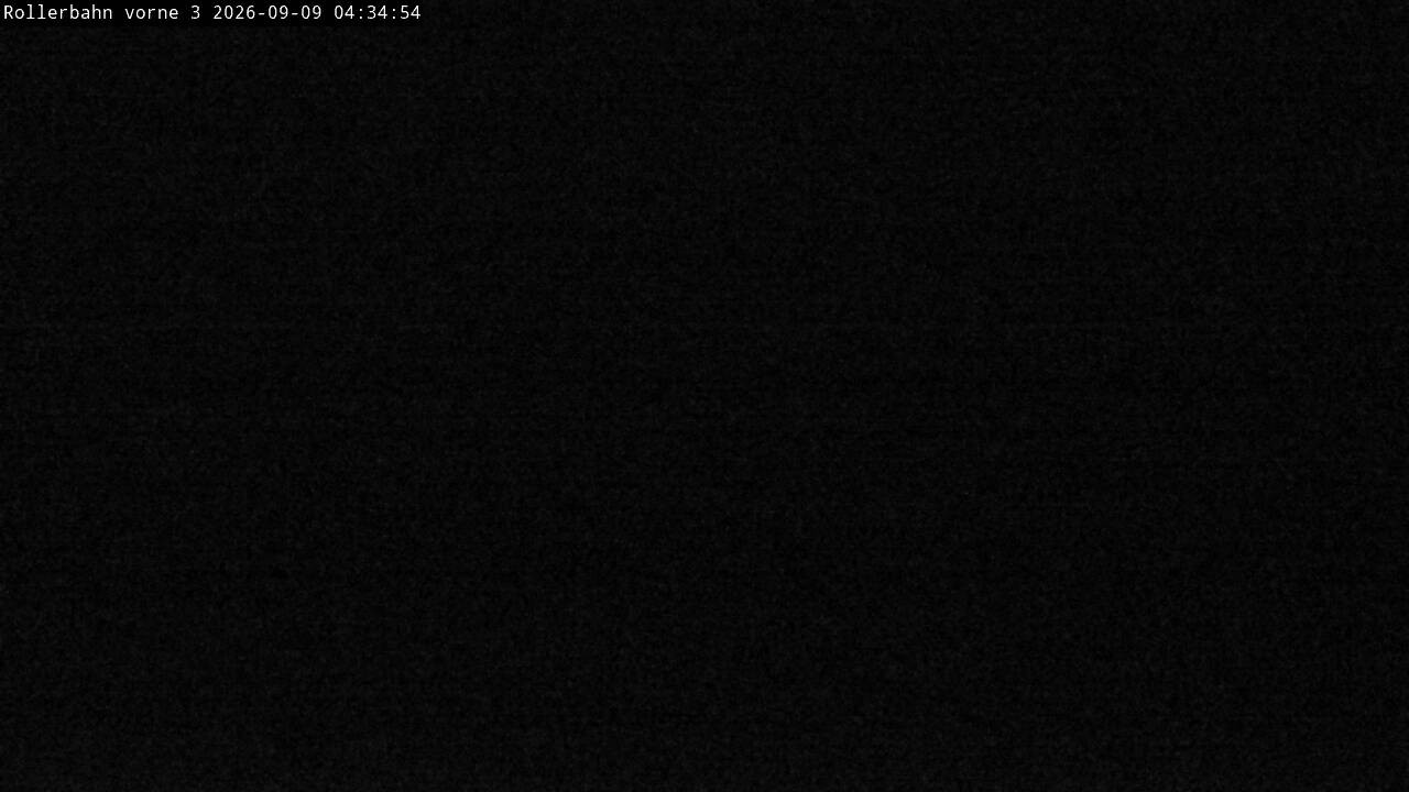 Archiv Foto Webcam Willingen - Blick Rollerbahn der Biathlon Arena
