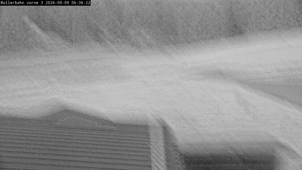 Archiv Foto Webcam Willingen - Blick Rollerbahn der Biathlon Arena