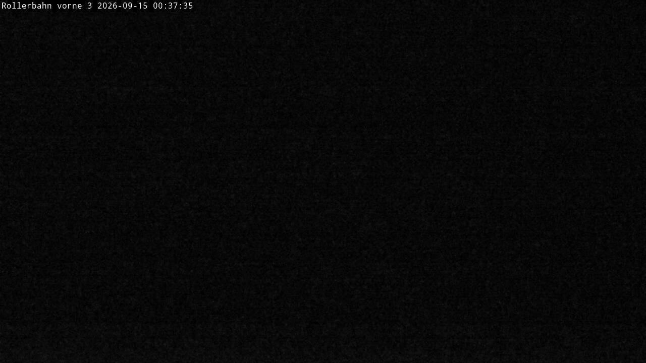 Archiv Foto Webcam Willingen - Blick Rollerbahn der Biathlon Arena