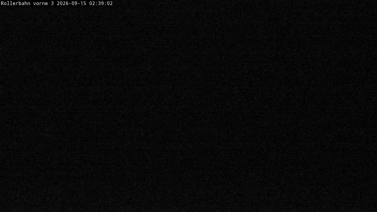 Archiv Foto Webcam Willingen - Blick Rollerbahn der Biathlon Arena