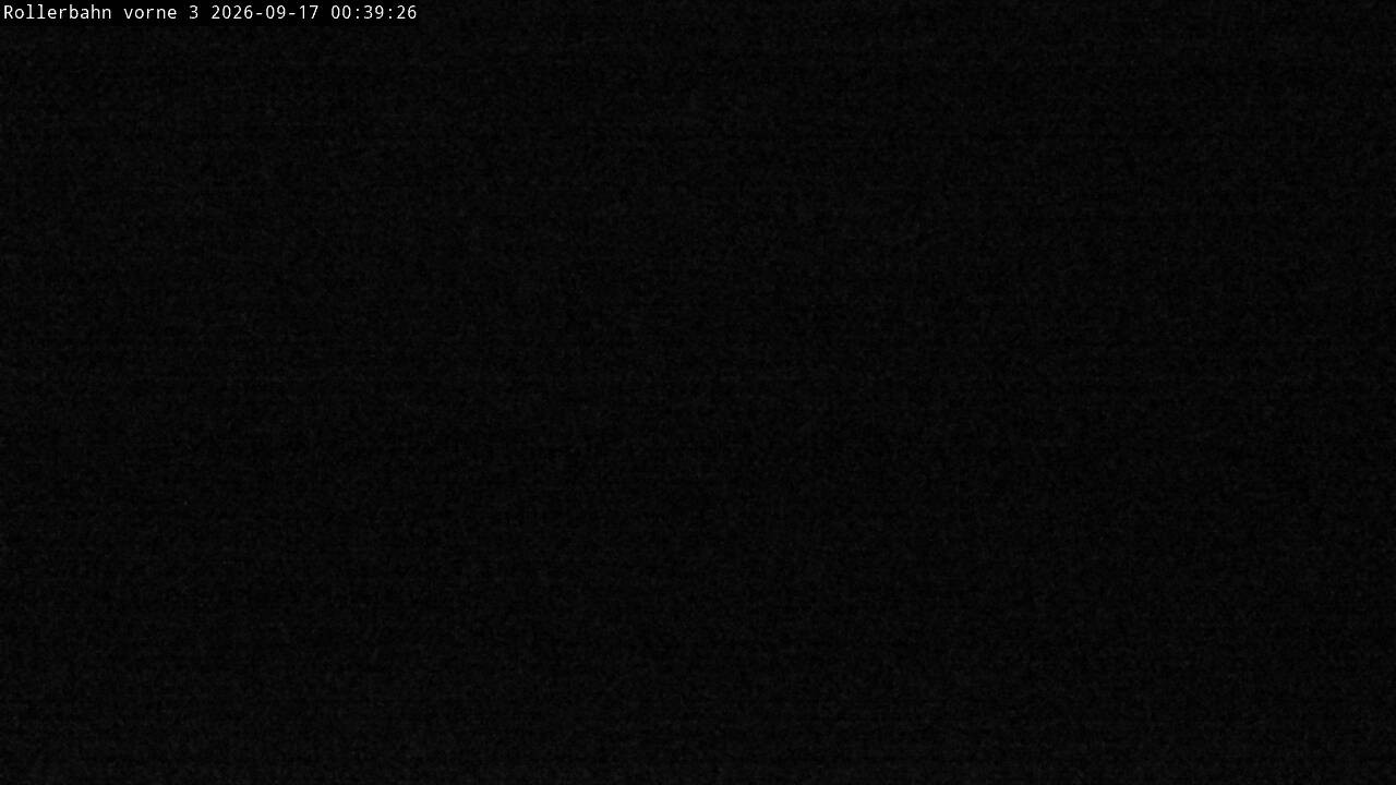 Archiv Foto Webcam Willingen - Blick Rollerbahn der Biathlon Arena