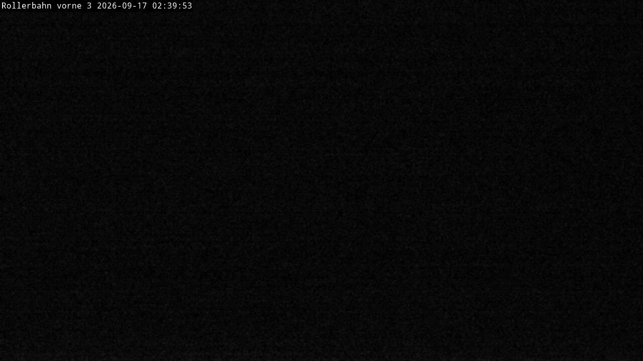 Archiv Foto Webcam Willingen - Blick Rollerbahn der Biathlon Arena