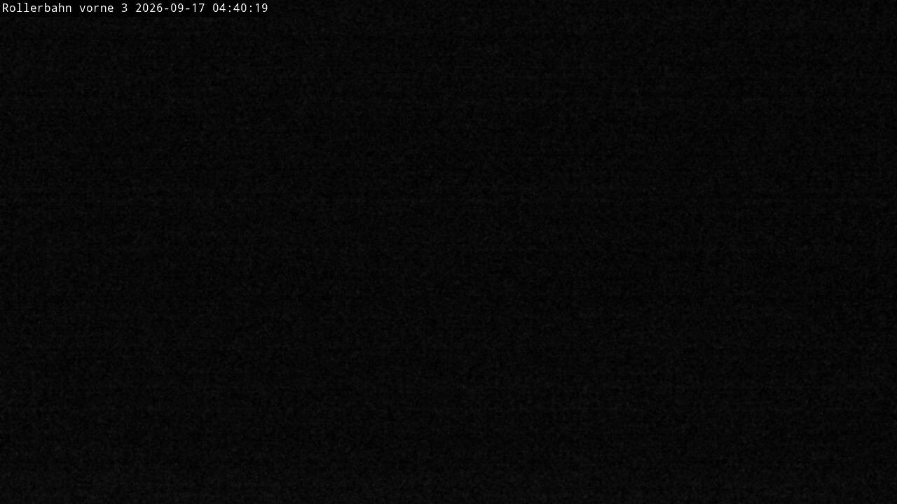 Archiv Foto Webcam Willingen - Blick Rollerbahn der Biathlon Arena