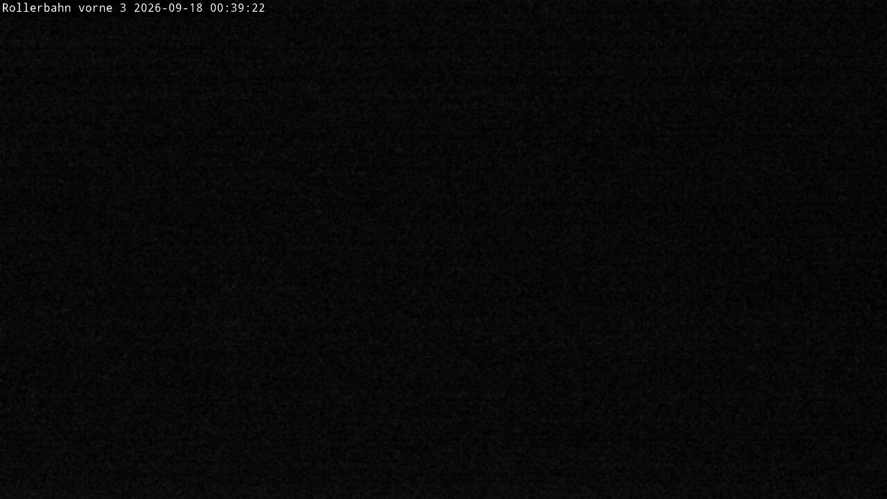 Archiv Foto Webcam Willingen - Blick Rollerbahn der Biathlon Arena