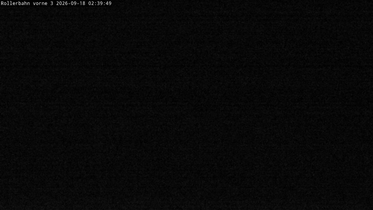 Archiv Foto Webcam Willingen - Blick Rollerbahn der Biathlon Arena