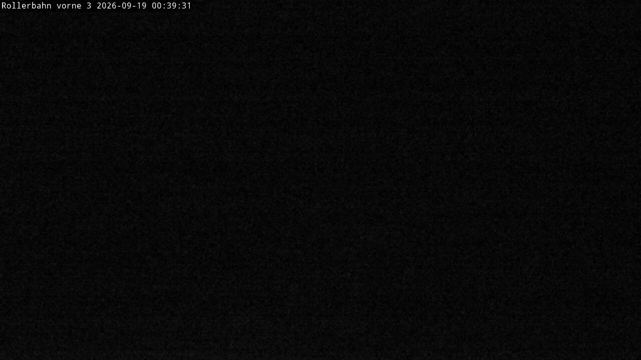 Archiv Foto Webcam Willingen - Blick Rollerbahn der Biathlon Arena