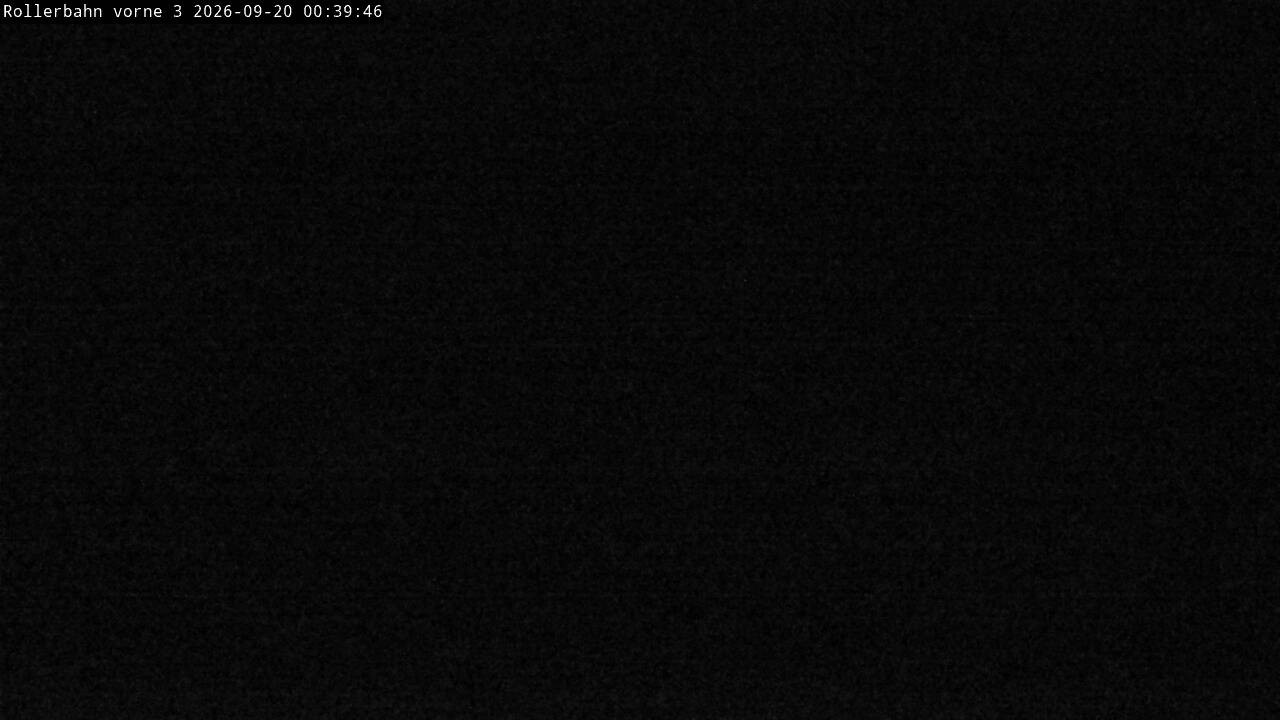 Archiv Foto Webcam Willingen - Blick Rollerbahn der Biathlon Arena