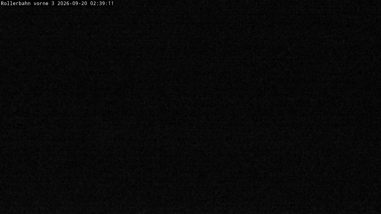 Archiv Foto Webcam Willingen - Blick Rollerbahn der Biathlon Arena