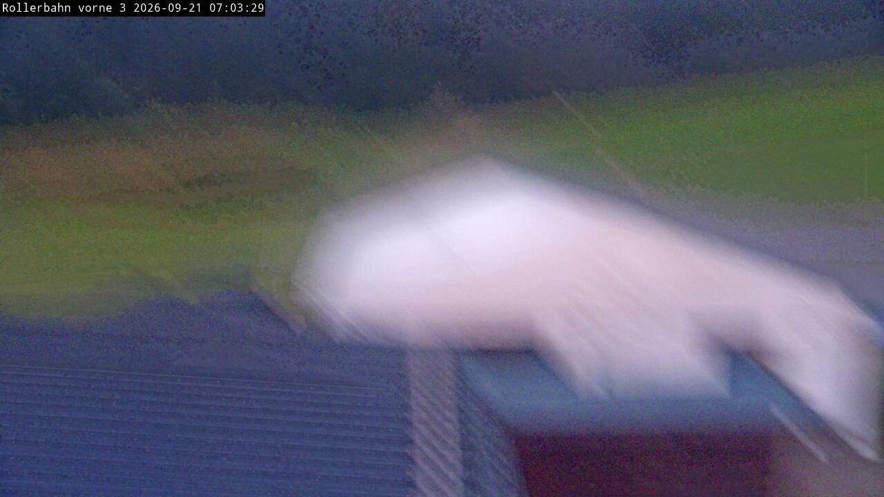 Archived image Webcam Willingen - View Roller Ski in Biathlon Arena