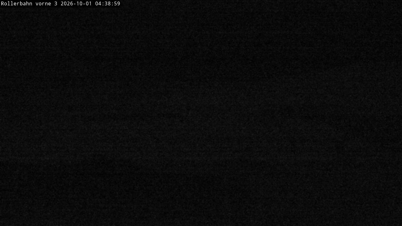 Archiv Foto Webcam Willingen - Blick Rollerbahn der Biathlon Arena