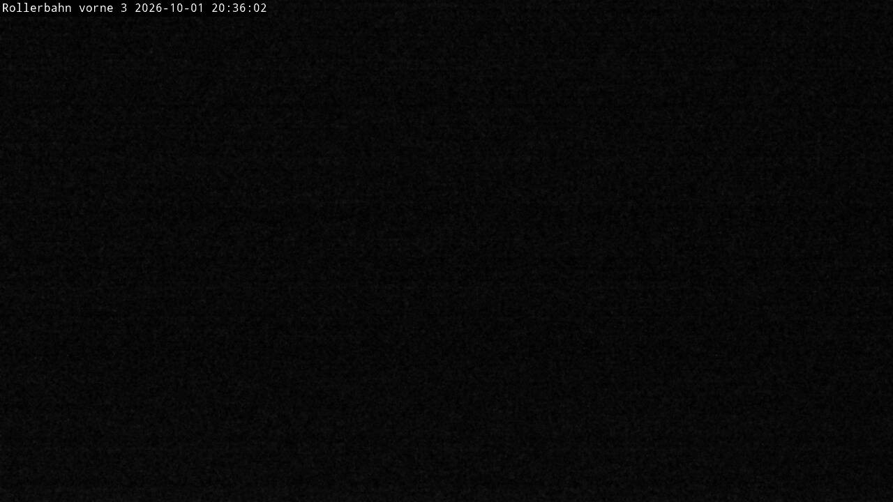 Archiv Foto Webcam Willingen - Blick Rollerbahn der Biathlon Arena