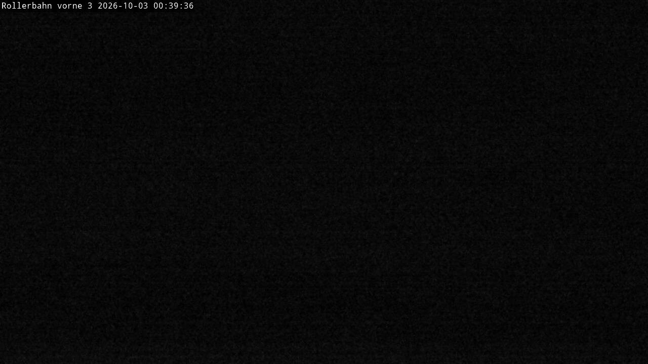 Archiv Foto Webcam Willingen - Blick Rollerbahn der Biathlon Arena
