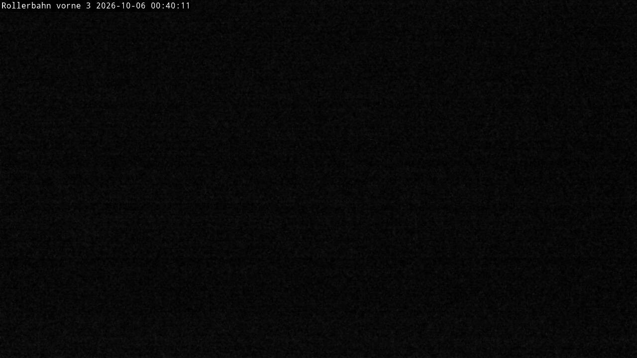 Archived image Webcam Willingen - View Roller Ski in Biathlon Arena
