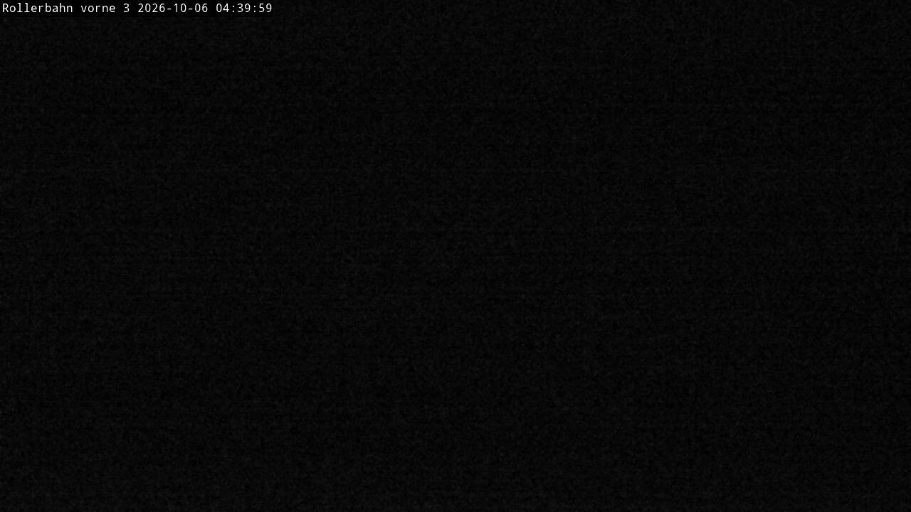 Archived image Webcam Willingen - View Roller Ski in Biathlon Arena